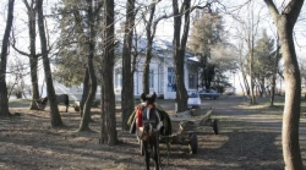 rascoala antijidoveasca