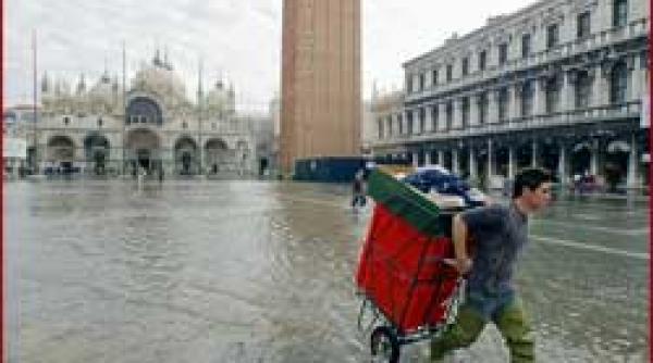 proiect oxigen pentru comoara venetiana