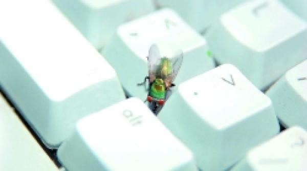 vulnerabilitati software sau bug uri