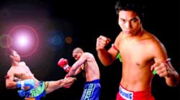 galeria campionilor fight club