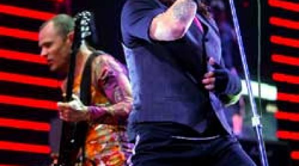 muzica red hot chili peppers no 1