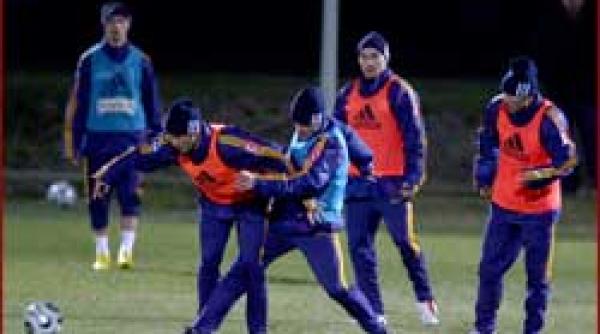 echipa nationala fara radoi si niculescu