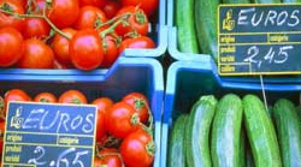 ue lupta pentru fructe copiii trebuie sa se alimenteze corect