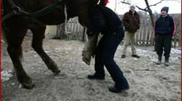 1907 2007 un caz de entitate in satul corni