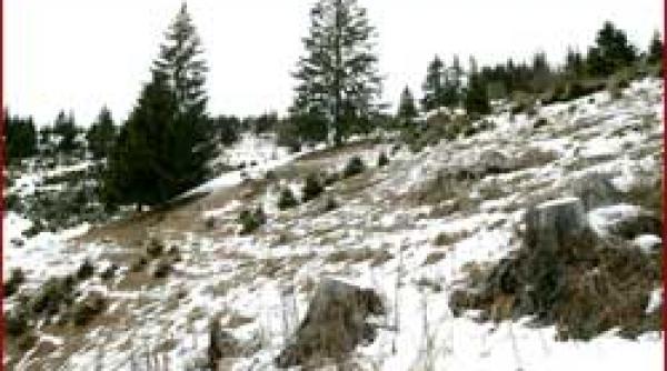 campanie sos tezaurul natural