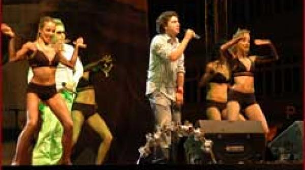 eurovision comitii si petitii