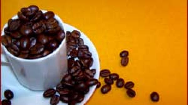 proiect certificarea cafelei