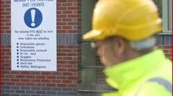 semnal h5n1 traverseaza europa