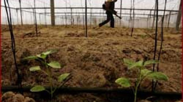 cum se foloseste corect balegarul