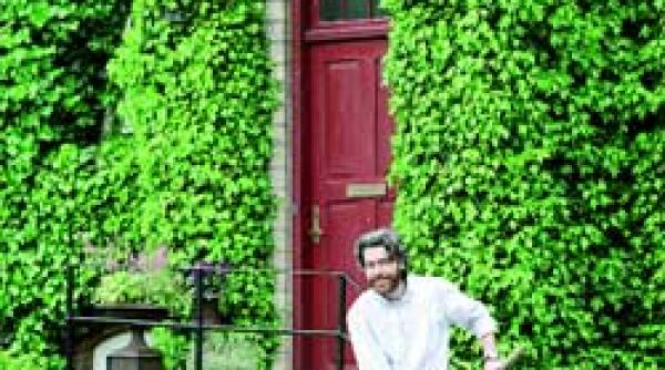 decorati va scara cu plante