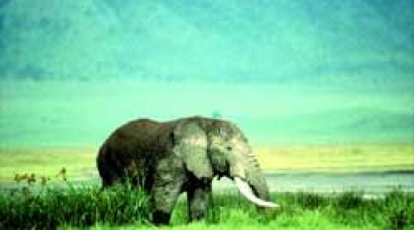 documentar paradisuri naturale