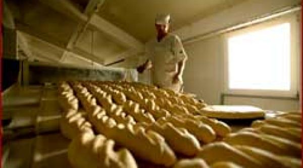 laborator sfin ne integram cu paine calda si apa rece