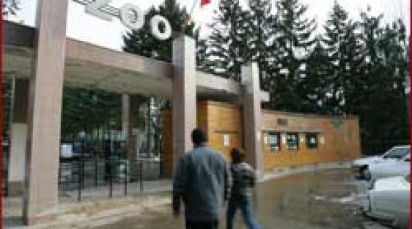 revocarea ordinului dispute pe terenul gradinii zoologice