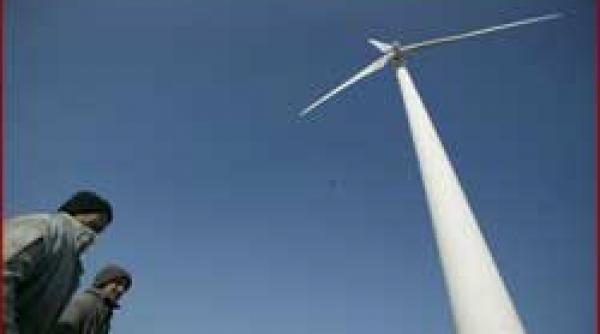 tulcea eoliana amendata