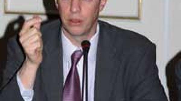 ernst young polul investitiilor straine directe