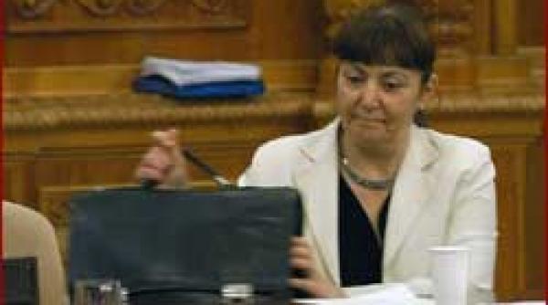 macovei ramane inca in guvern curtea constitutionala asteptata cu lamuriri