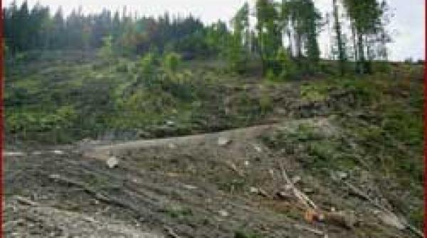 romania o tara despadurita