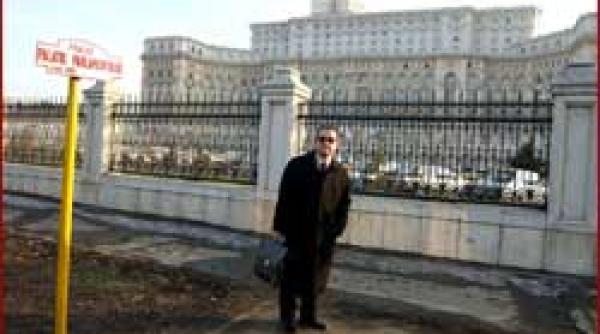 amnezie pentru macovei