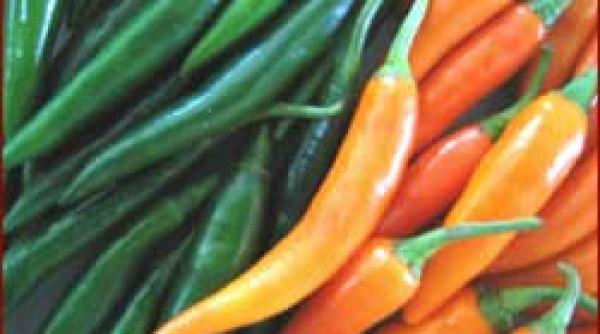 studiu tratament fierbinte contra diabetului