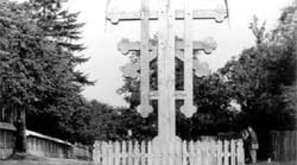 saptamani de purificare