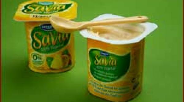 ce ben ce mancan savia desert din soia de post