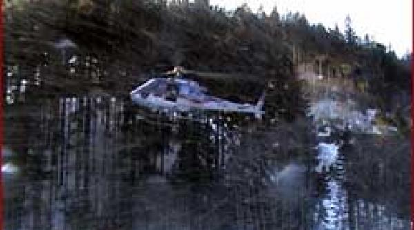 cronica unei disparitii inexistente