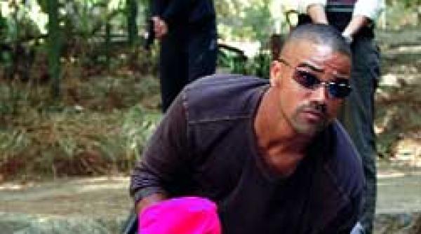 seriale telenovele minticriminale