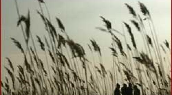 scandalos 25 000 de tone de stuf date fara licitatie