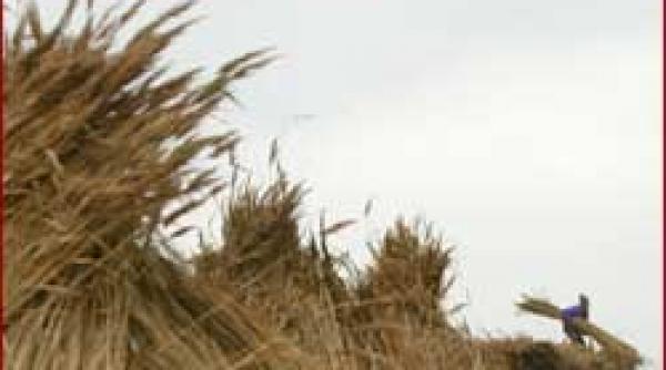 contestatie stuful penal ar putea fi tarat in instanta