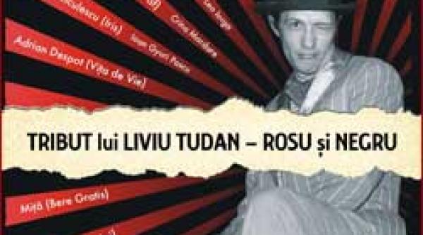 disc in memoriam in office se strang prietenii lui mitica