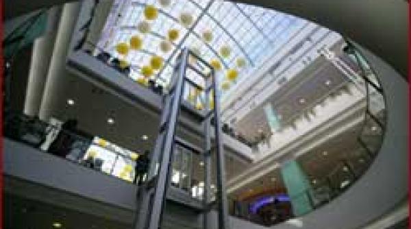 imobiliar case dupa statutul social