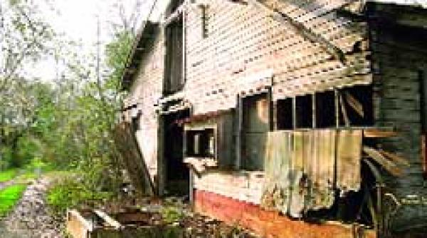 editorial de ce cade casa pe noi