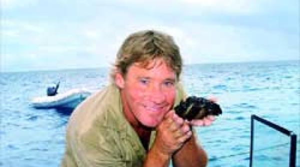 documentare omagiu steve irwin