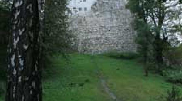 castelul bran suspiciuni asupra vanzarii