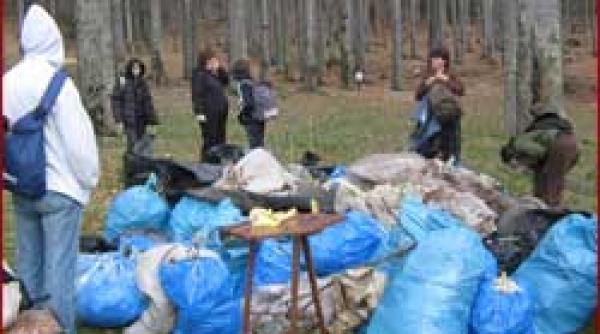 ecologisti padurea din busteni curatata de voluntari
