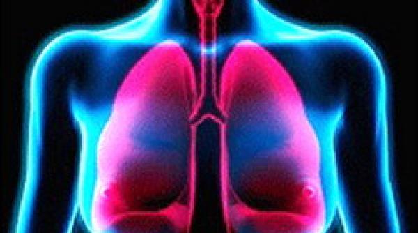 sanatate 150 consumul de carne duce la aparitia bolilor pulmonare