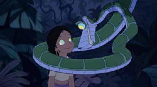 idei de 132 afaceri 148 herpetoturism in austria