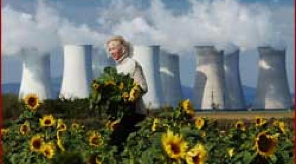 studiu agricultura furnizor de biodiesel