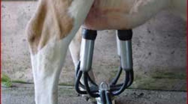 seminar materie prima proasta