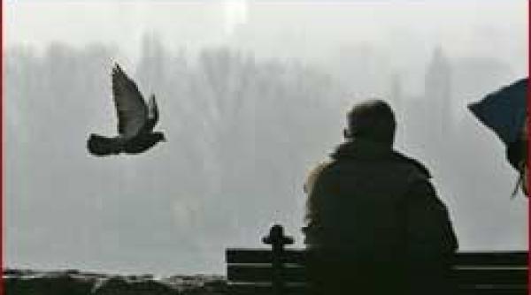 columbofilie pasi mari pe taram nou