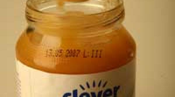 nu poate inlocui fructele