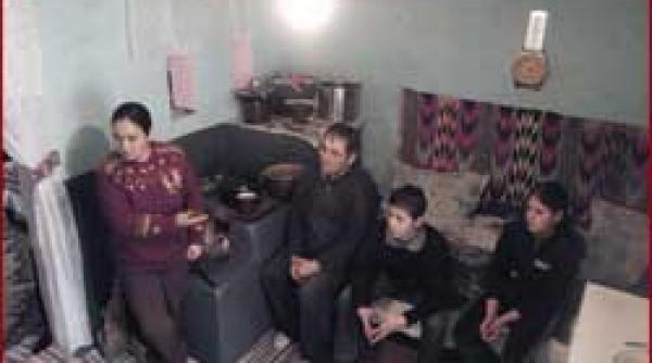 afacere grasa cu reintegretei