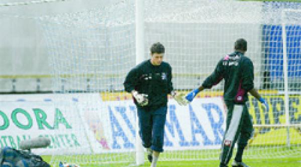 rapid portari de cosmar