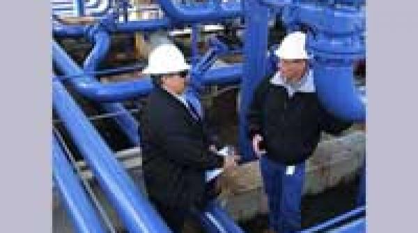 restrictii in germania fara muncitori din est