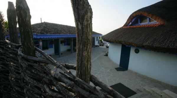 safari deluxe cu cerbi si broaste testoase