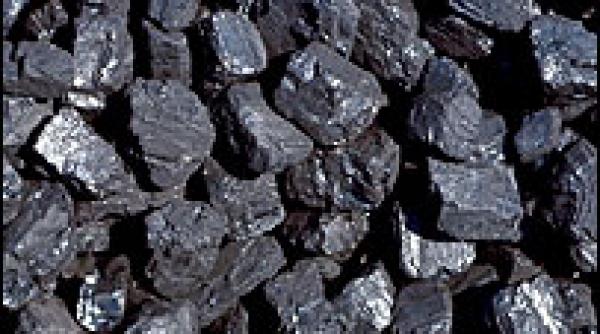 hot de hot tunel pentru furat carbune