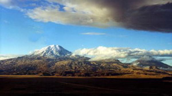 initiativa greenpeace o noua arca a lui noe va fi lansata a 128 158 la apa