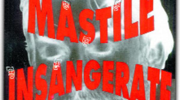 avionul cu cai partea i