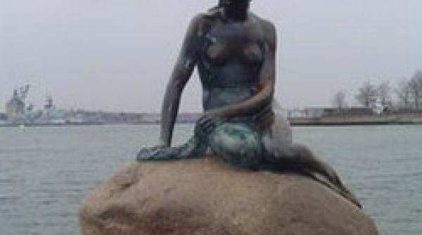 solutie salvatoare a 128 158 mica sirena se intoarce in mare