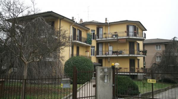 zidarul timofte complicele cia